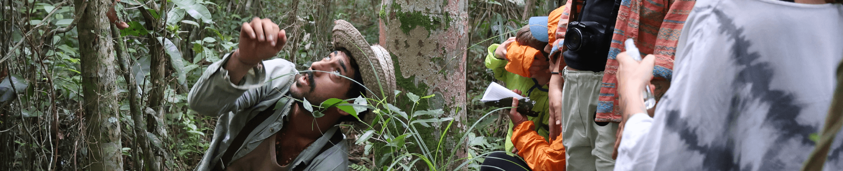 People in the Atlantic Rainforest at Tudo É Arte